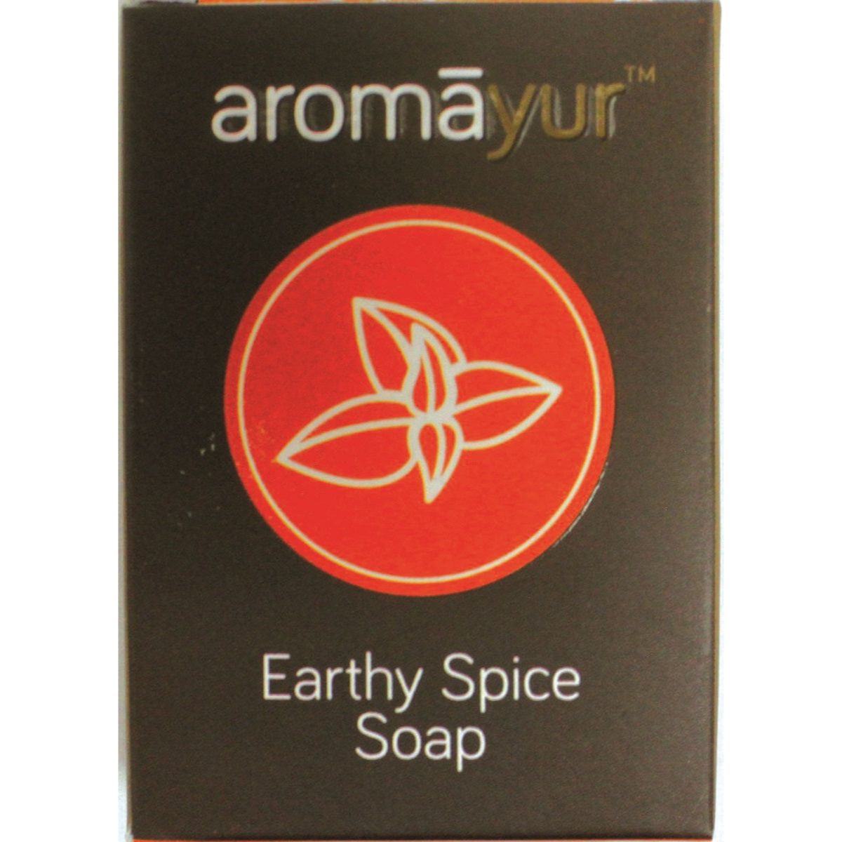 Hem Soap - Aromayur, Earthy Spice